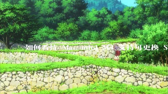 如何看待 Mac mini M4 支持可更换 SSD？