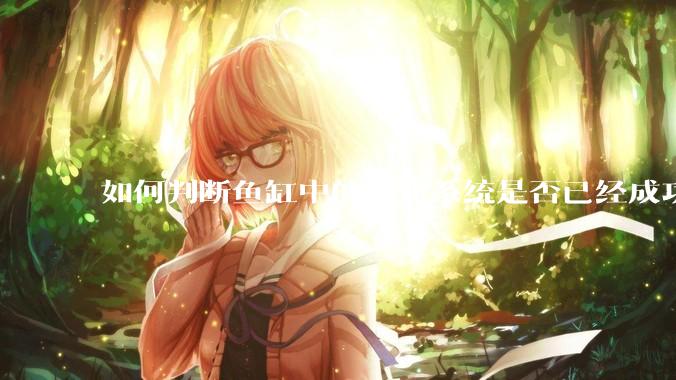 如何判断鱼缸中的硝化系统是否已经成功建立？