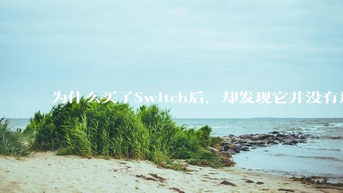 为什么买了Switch后，却发现它并没有那么好玩？