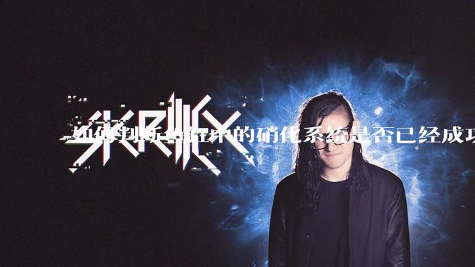 如何判断鱼缸中的硝化系统是否已经成功建立？