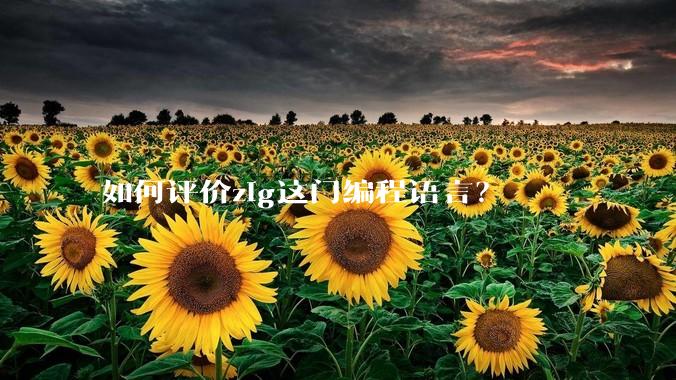 如何评价zig这门编程语言？